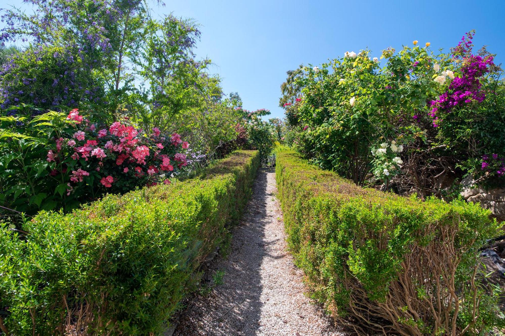 Sardinia Re - Villa Fioretta Flowers Apartments Ольмедо Экстерьер фото